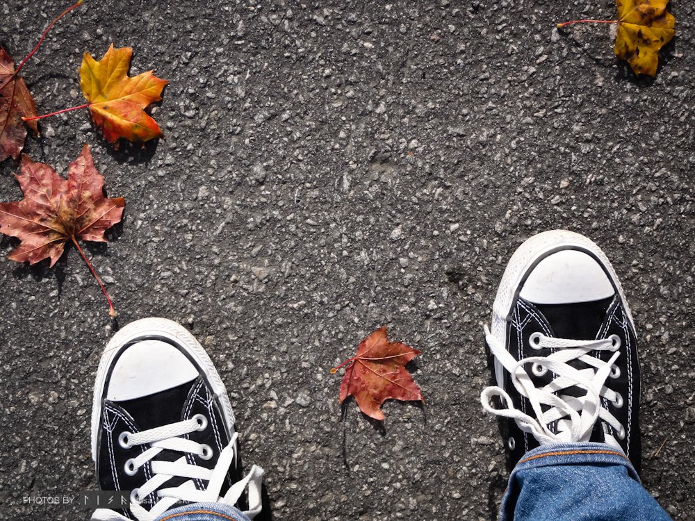 Photo, lisa mikulski, feet, autumn